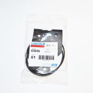 Lincoln Industrial 83035 Repair Kit for Power Master Air Motors