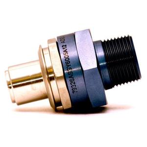 Wiggins 6005A12 Fast Fueling Systems | Fluid NPT Connector