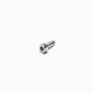 Lincoln Industrial 236869 Socket Head Screws