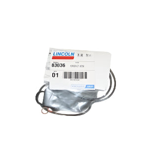 Lincoln Industrial 83036 Repair Kit for Power Master Air Motor 82736