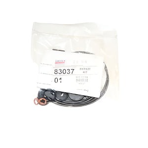 Lincoln Industrial 83037 Repair Kit for Power Master Air Motors